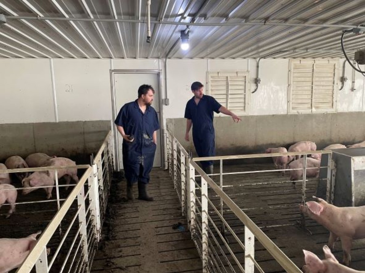 Winnipeg’s FeedFlo uses tech to solve a major ag problem for livestock - Winnipeg-based startup, FeedFlo, is making a name for itself on poultry and pork farms across the globe. Photo:FeedFlo 